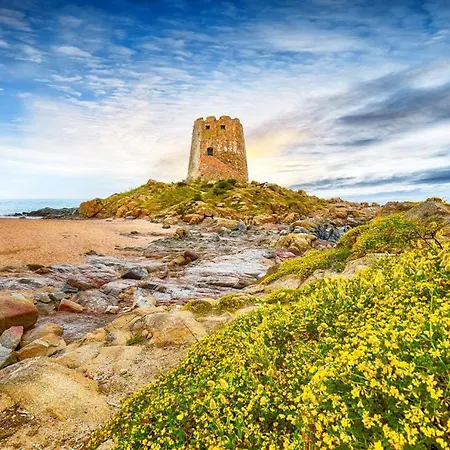 Dreamy Seaside Daire